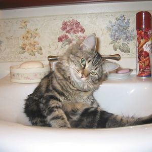 Meet your Posher, Nancy